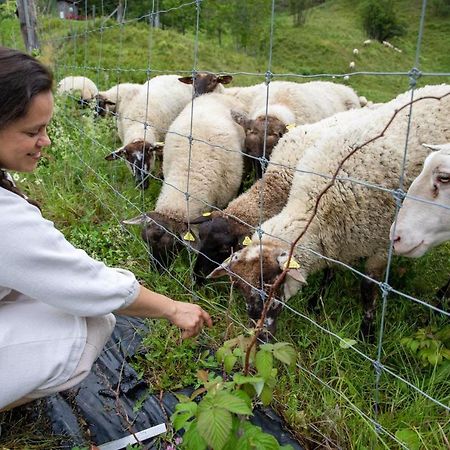 La Vieille Ferme, Ecogite Saint-Fulgence Kültér fotó