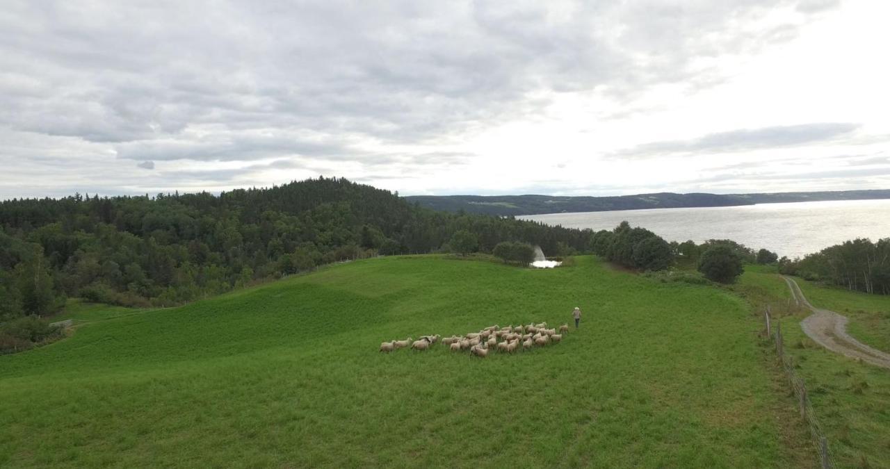 La Vieille Ferme, Ecogite Saint-Fulgence Kültér fotó