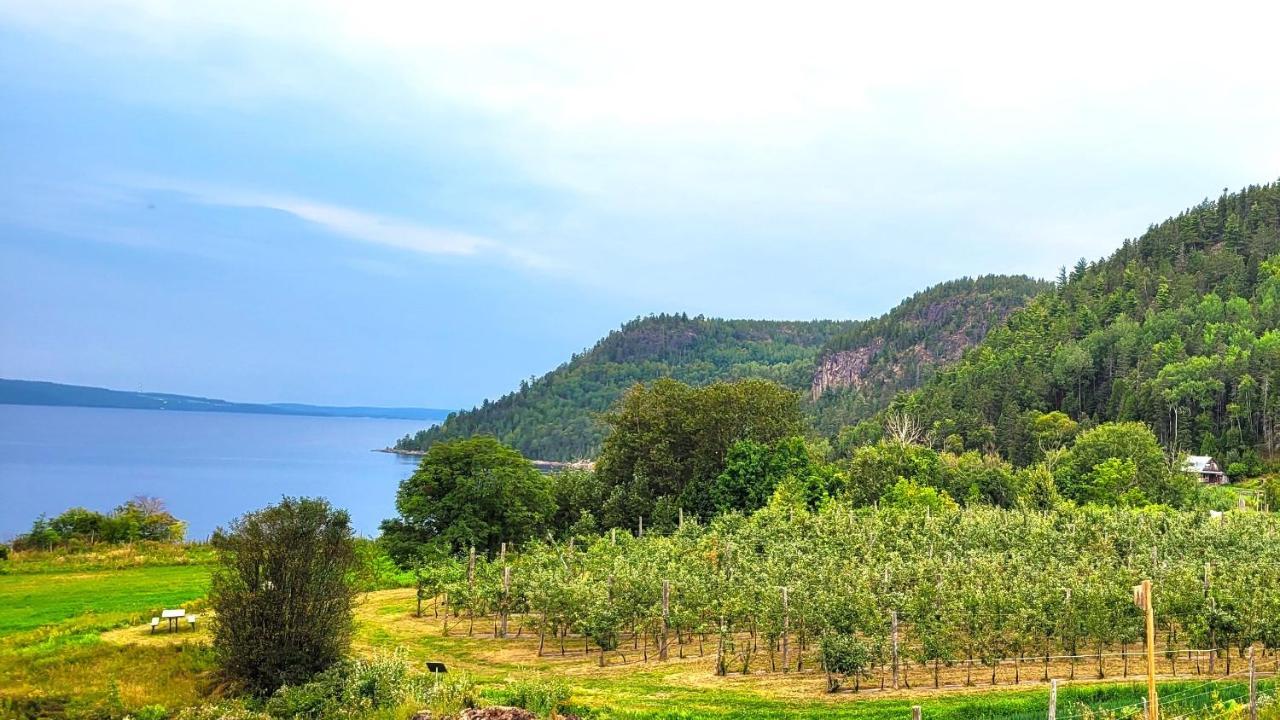 La Vieille Ferme, Ecogite Saint-Fulgence Kültér fotó