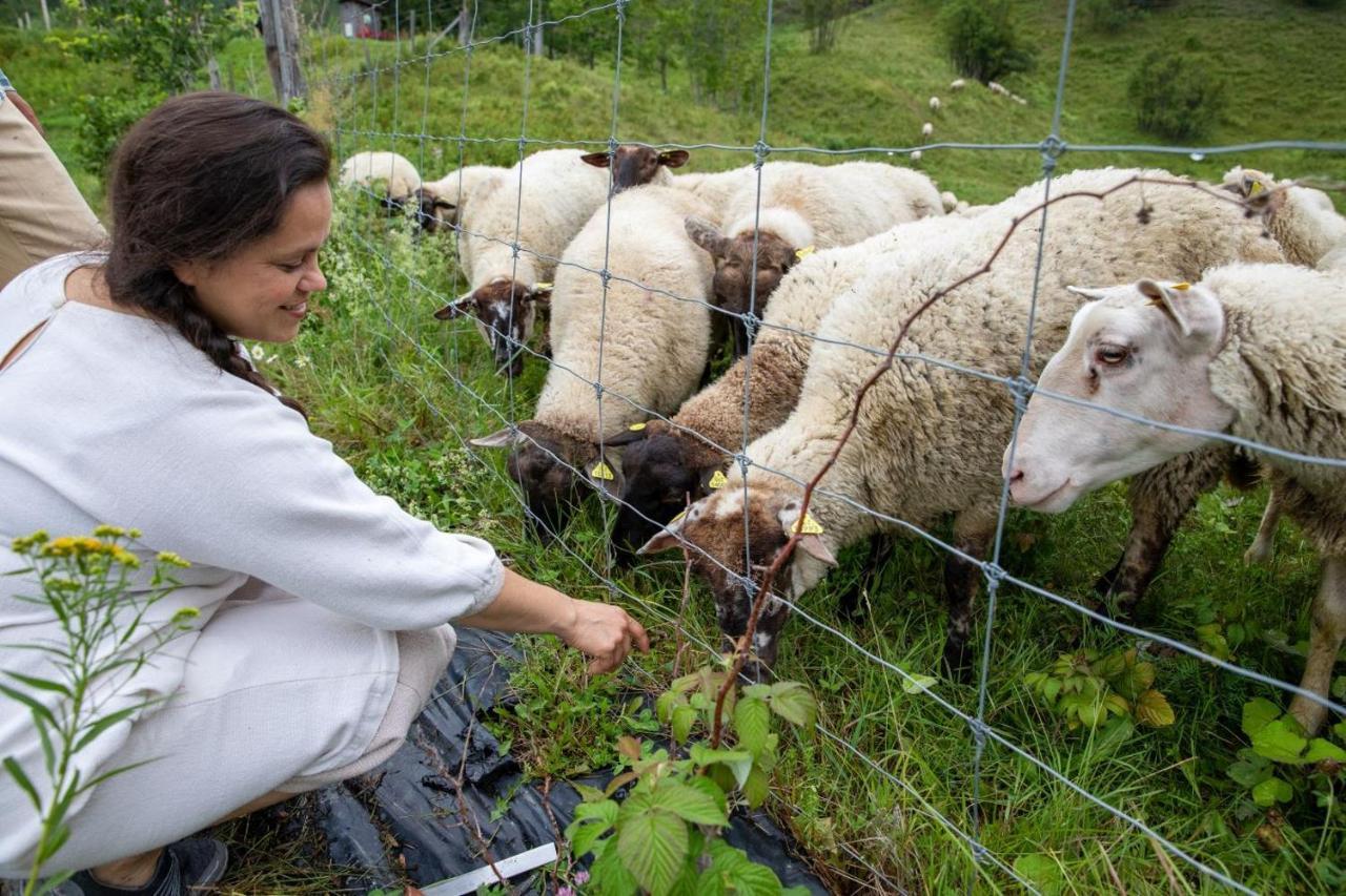 La Vieille Ferme, Ecogite Saint-Fulgence Kültér fotó